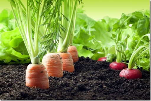 veggies_label veggies_label