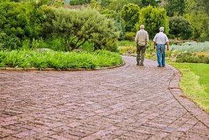 Two men having a chat in the garden